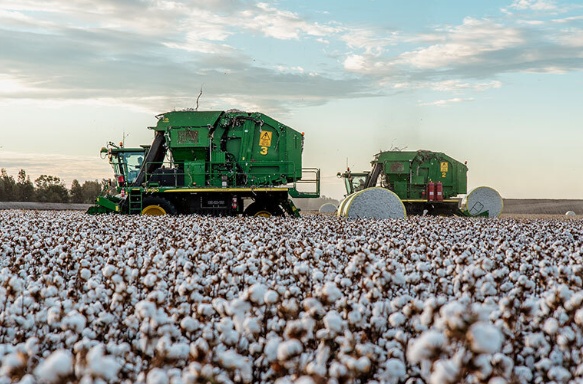 cotton value chain development study gherzi